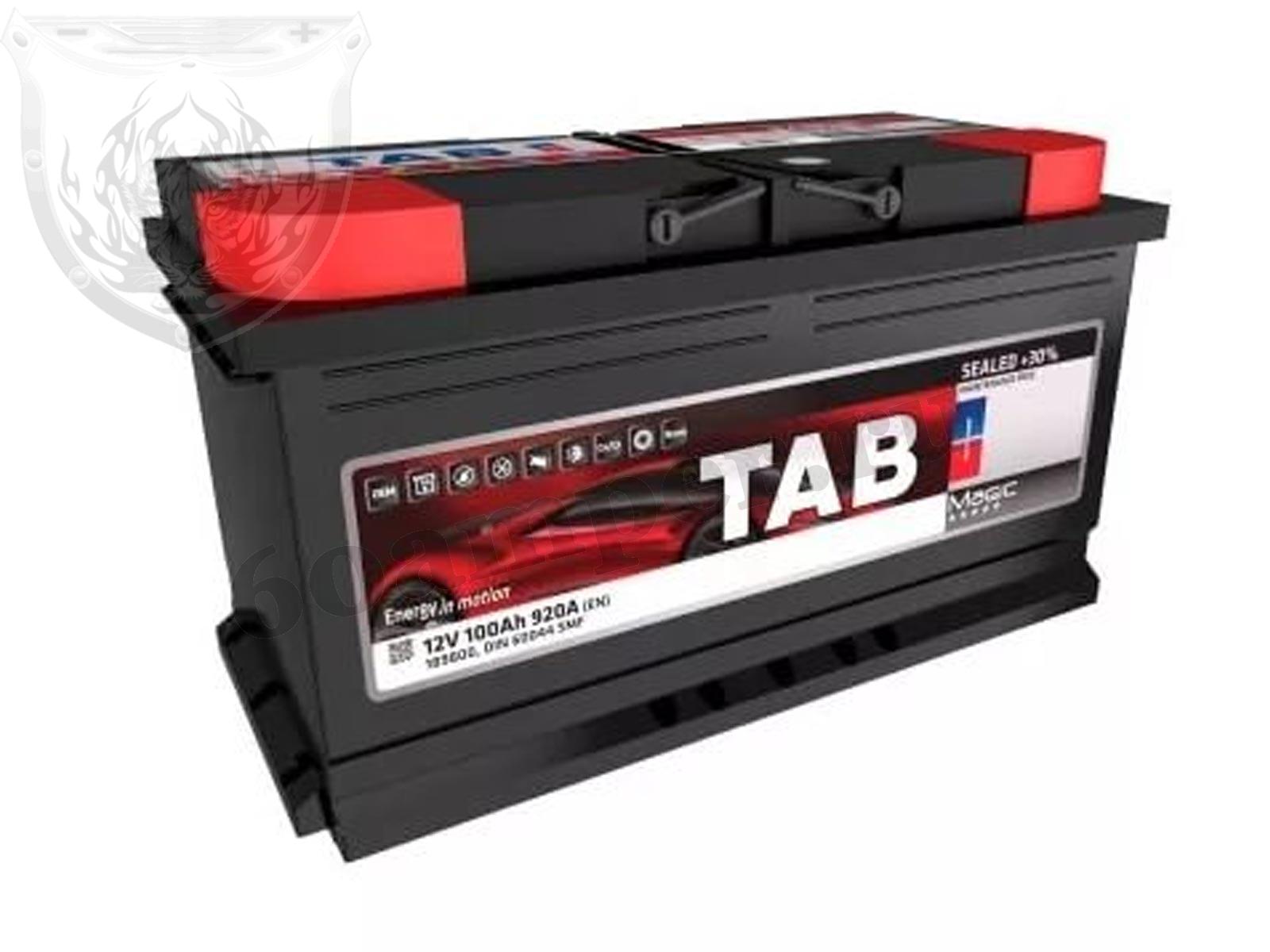 Изображение Аккумулятор TAB 100 А*ч Обратный MAGIC : №3