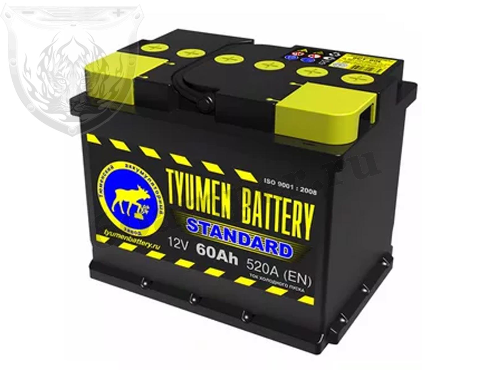 Изображение Аккумулятор Тюмень 60 А*ч Прямой STANDARD : №3