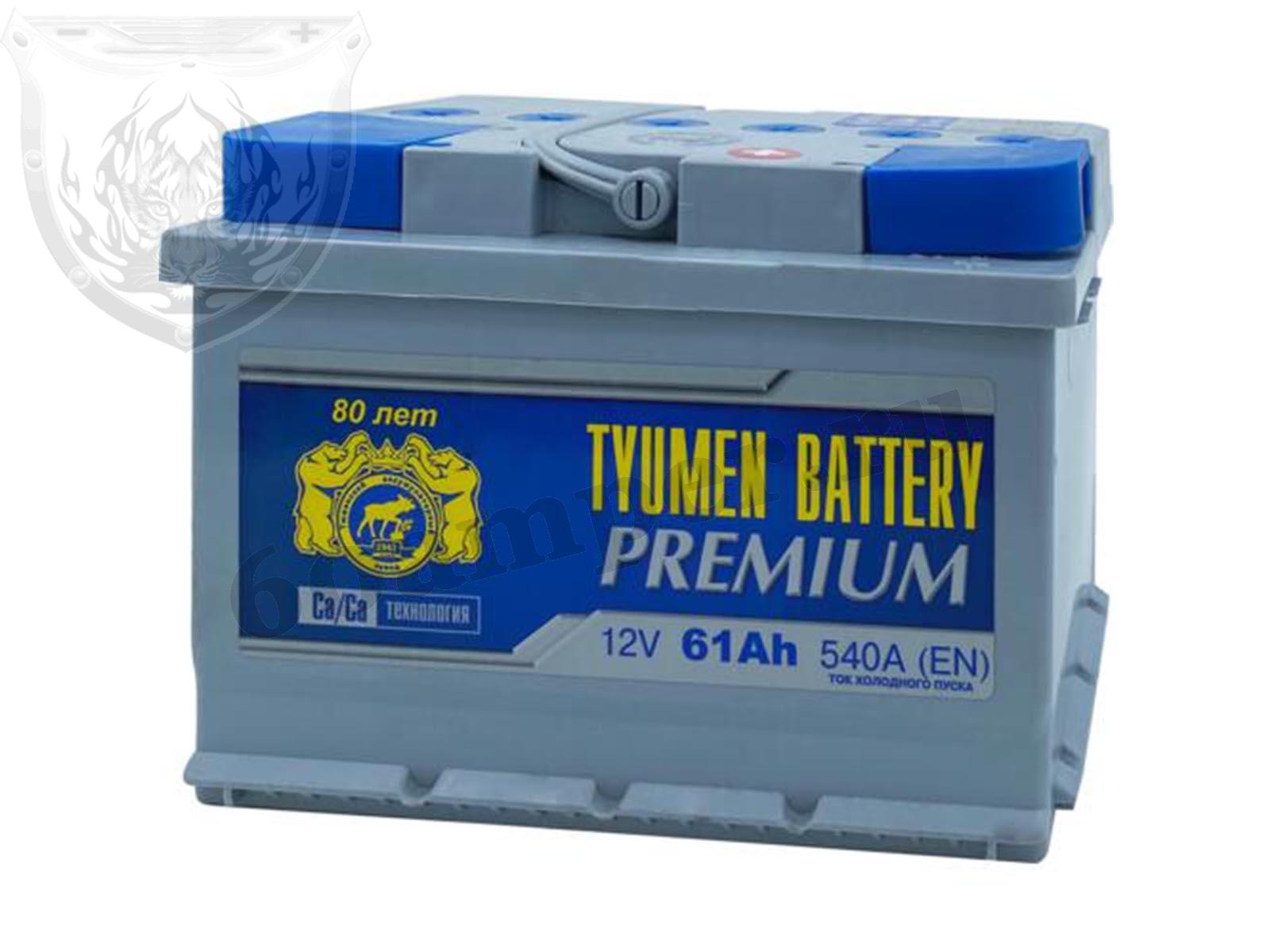 Изображение Аккумулятор Тюмень 61 А*ч Обратный Низкий PREMIUM : №1