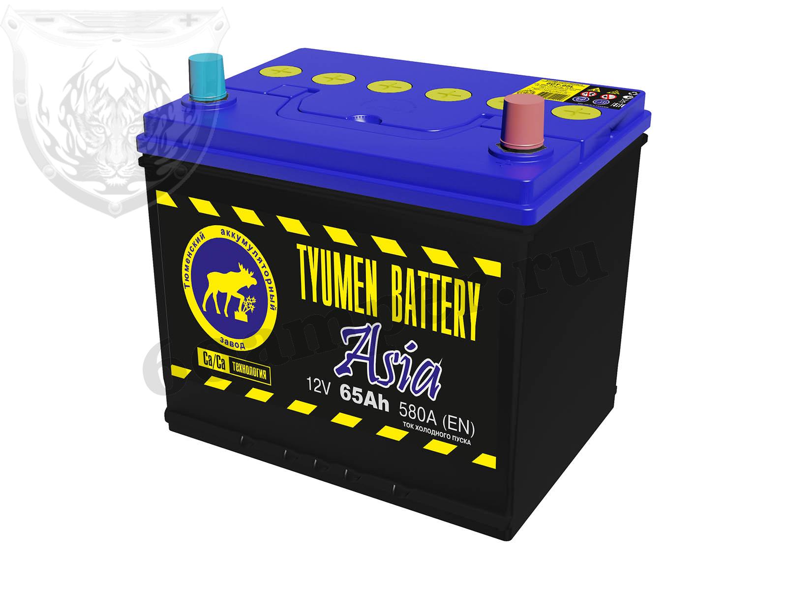 Изображение Аккумулятор Тюмень 65 А*ч Обратный Азия : №1