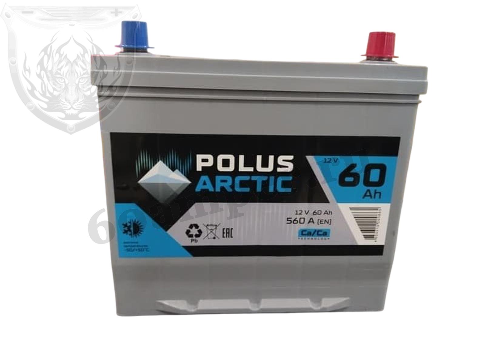 Изображение Аккумулятор POLUS ARCTIC 60 А*ч Обратный Азия : №1