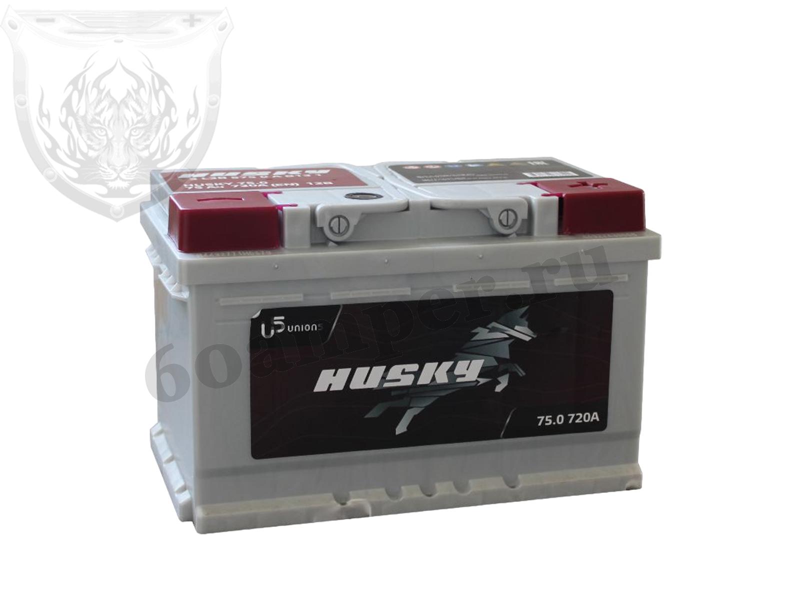 Изображение Аккумулятор HUSKY 75 А*ч Обратный Низкий : №1