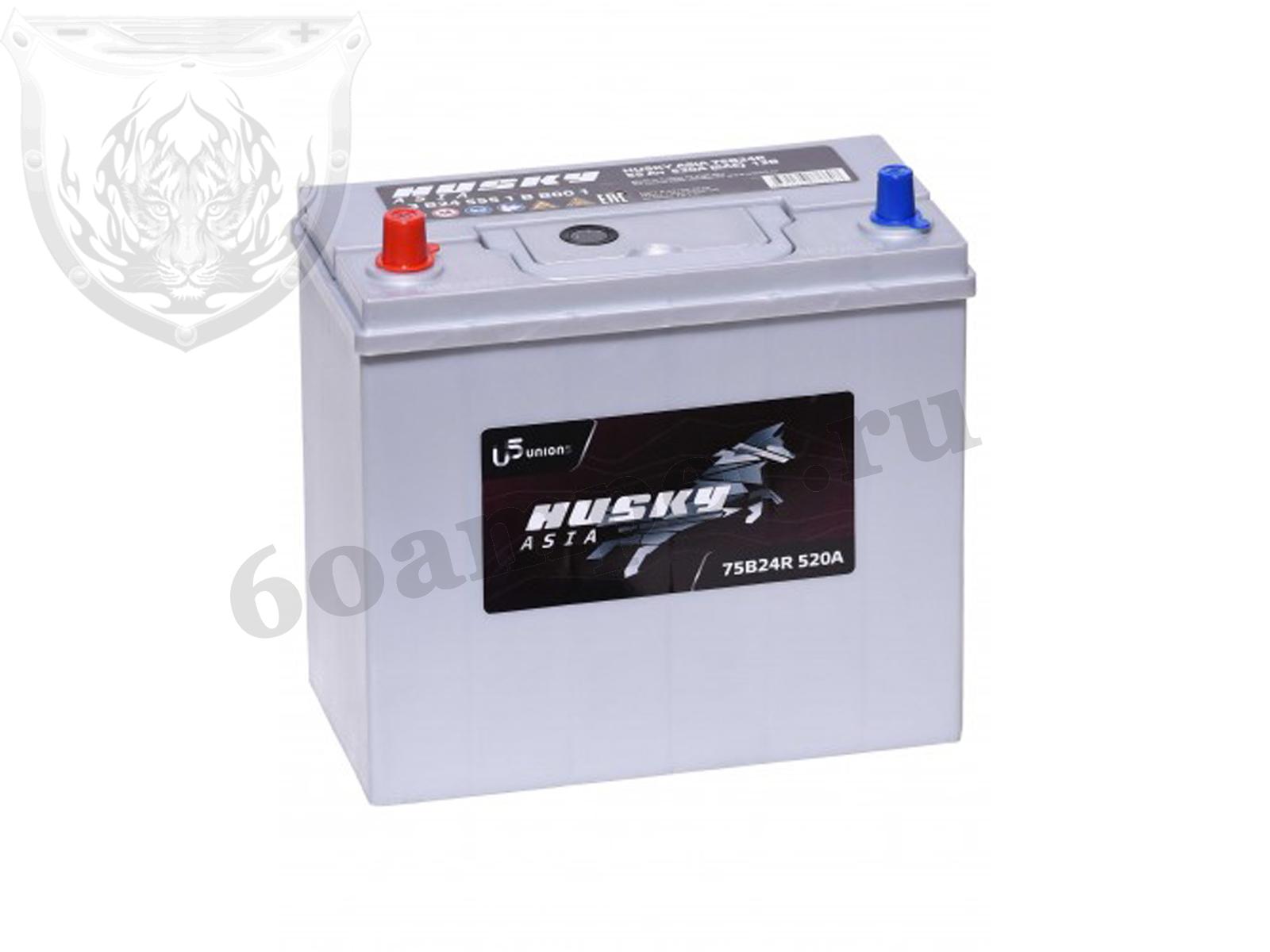 Изображение Аккумулятор HUSKY 55 А*ч Прямой Азия : №1