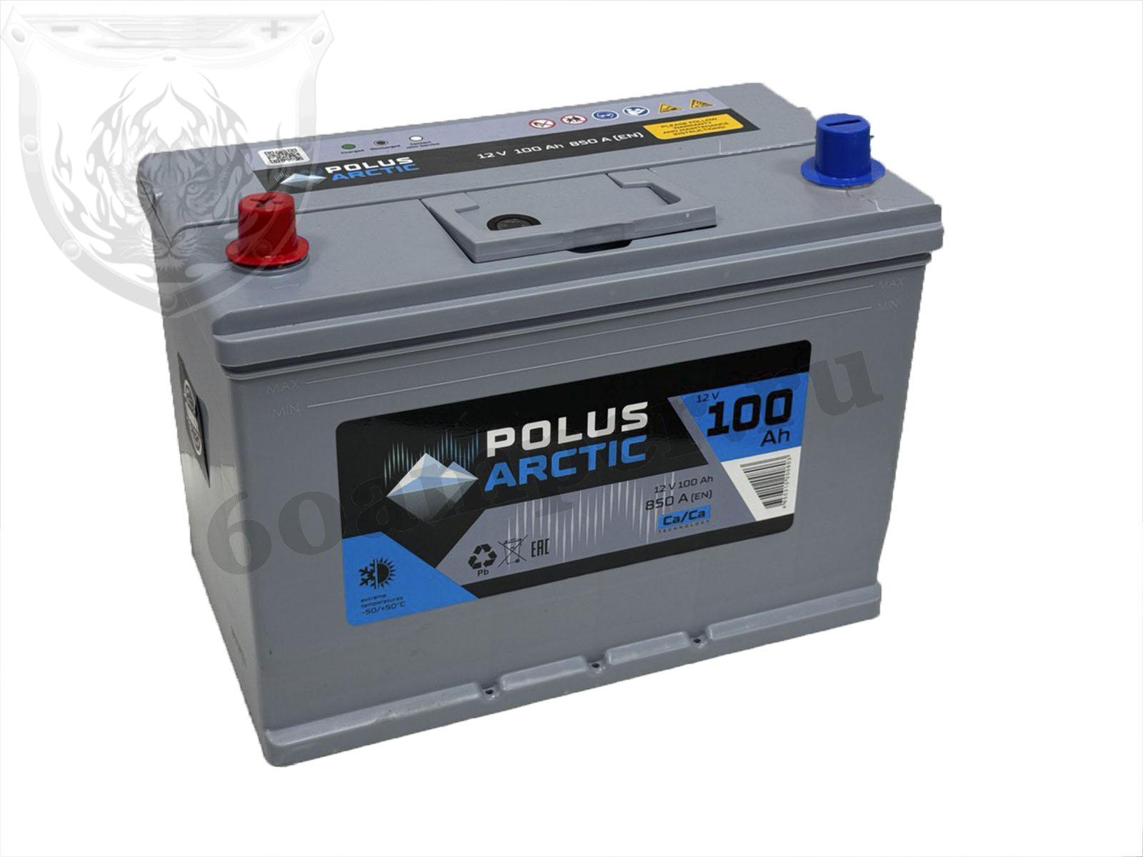 Изображение Аккумулятор POLUS ARCTIC 100 А*ч Прямой Азия 100D31R : №1