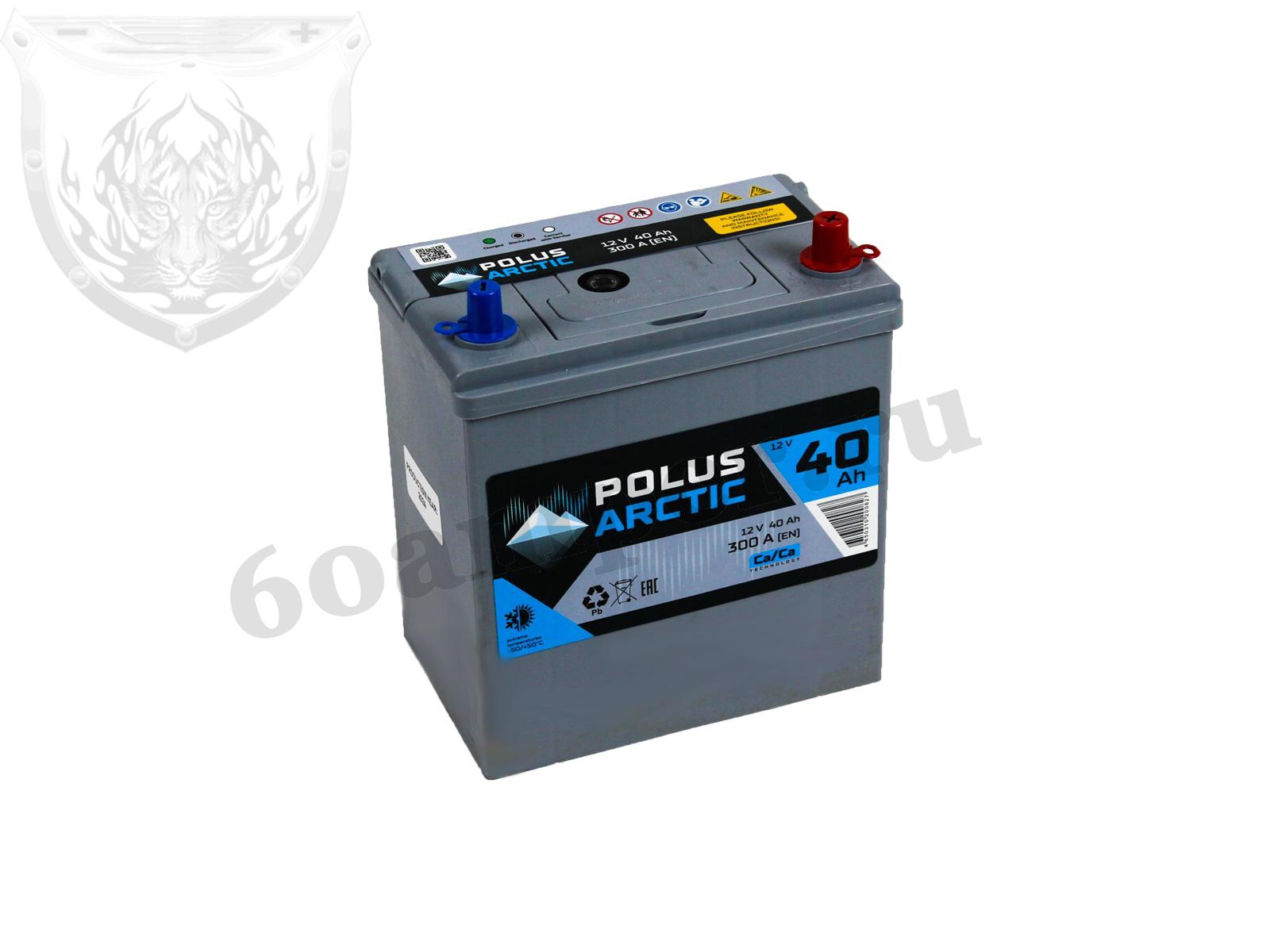 Изображение Аккумулятор POLUS ARCTIC 40 А/ч Обратный Азия : №1